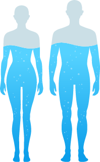 老化の原因は水？